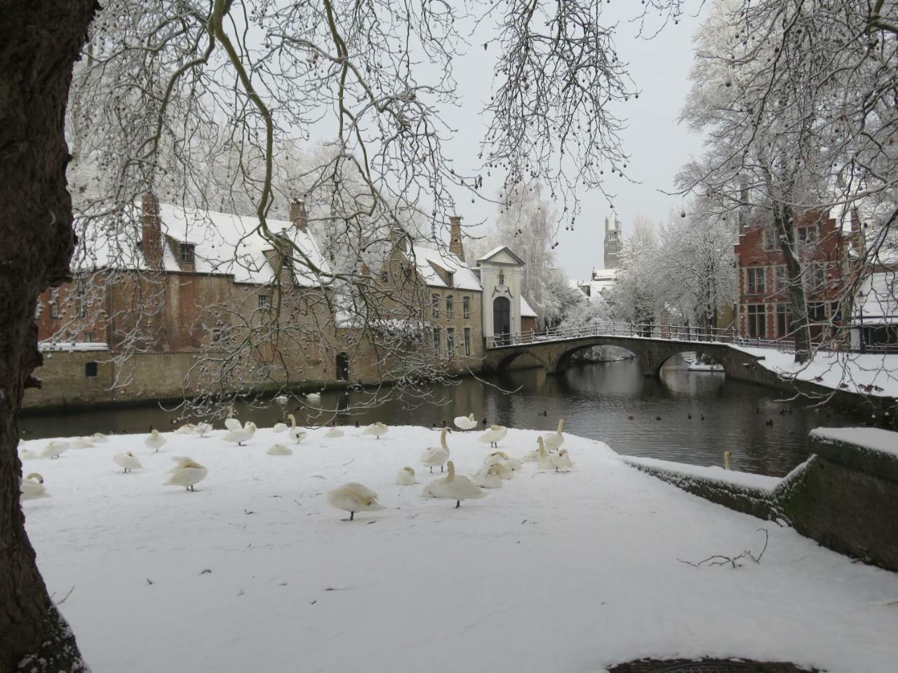 Bonnie Lejlighed Brugge Eksteriør billede